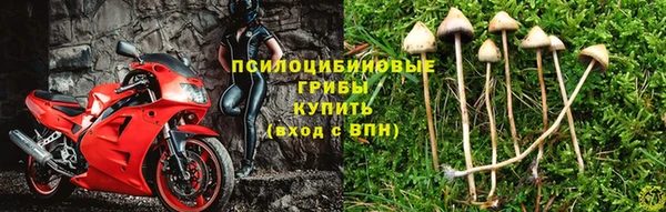 дурь Армянск