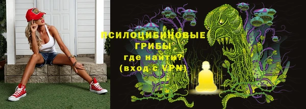 каннабис Аркадак