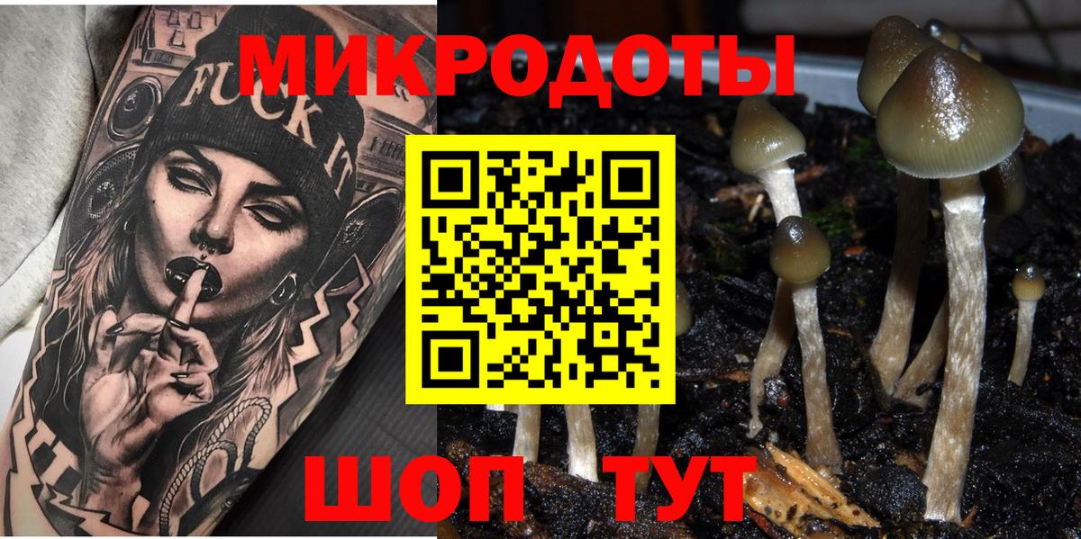 Галлюциногенные грибы Cubensis Ростов-на-Дону